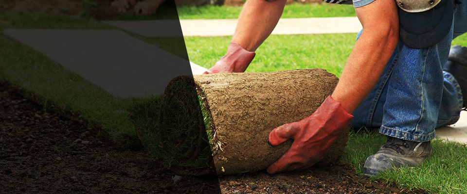 Manhattan Landscapers